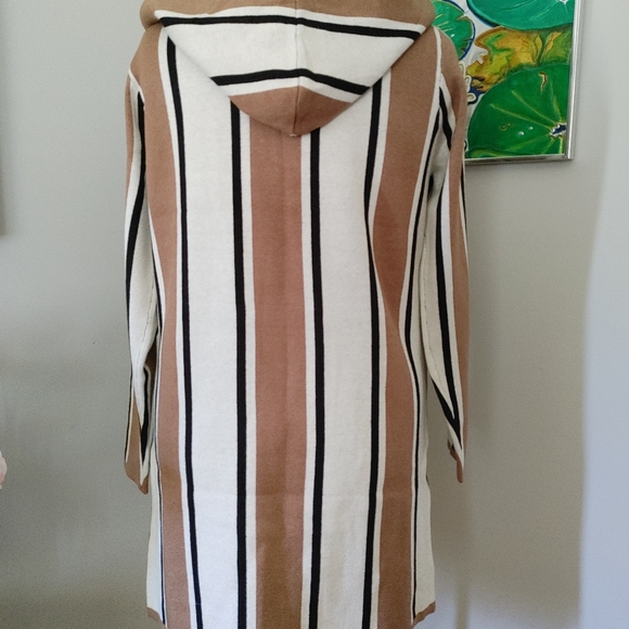 Keren Hart Striped Hooded Sweater - Picture 1 of 13